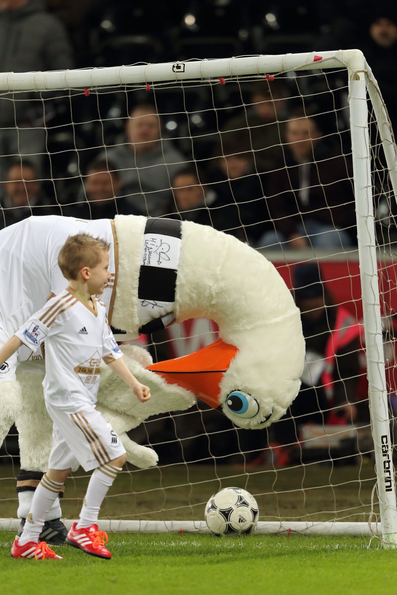 AcrescimosPod's tweet photo. Qual é o mascote mais perturbador que você já viu e por que é este ganso do @SwansOfficial? 😳

No último episódio falamos sobre os pássaros e os mascotes do futebol inglês, e o ganso Ciryl é um belo exemplar...

Spotify > https://t.co/ahOTyuXZ1l
Google > https://t.co/IesFBKcWil https://t.co/DR73KEU8dJ