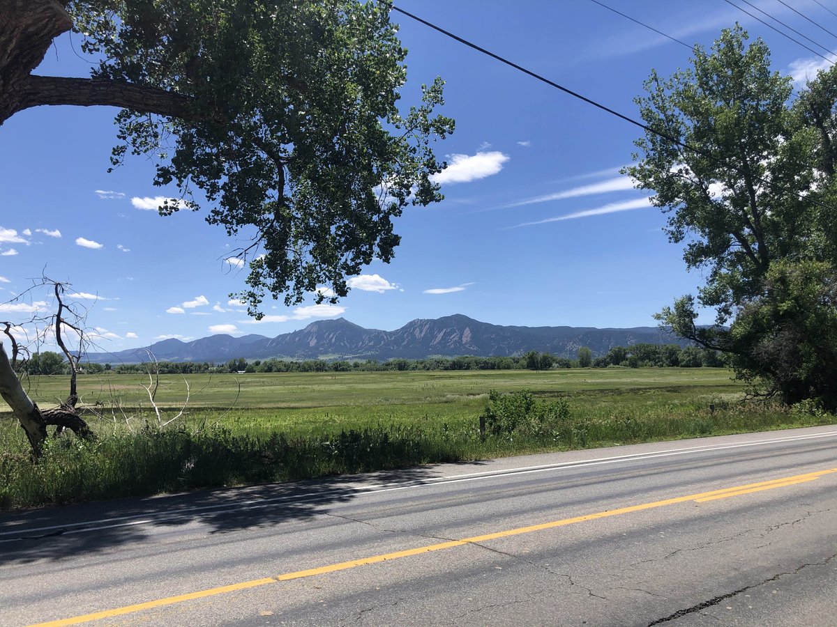 BVAAClinics's tweet photo. Happy first day of summer! I was out biking in Boulder county today and saw trees, grasses, and weeds in bloom. Summer may look a little different for you this year but make sure your allergy symptoms are under control so you can treat yourself to some time outdoors. https://t.co/TbxNfeMdzW