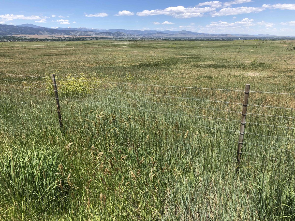 BVAAClinics's tweet photo. Happy first day of summer! I was out biking in Boulder county today and saw trees, grasses, and weeds in bloom. Summer may look a little different for you this year but make sure your allergy symptoms are under control so you can treat yourself to some time outdoors. https://t.co/TbxNfeMdzW