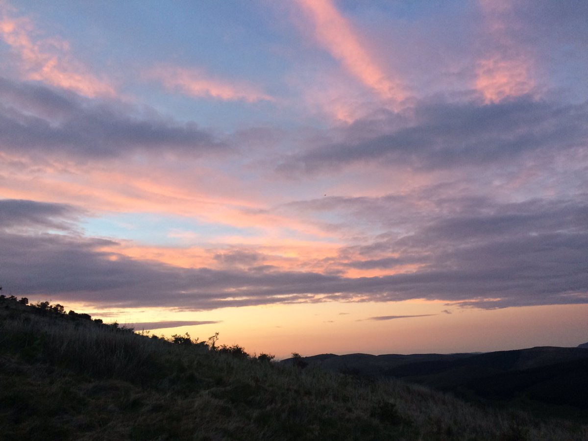 CoachJasmine's tweet photo. #30DaysWild 
#randomactsofwildness 
#SummerSolstice2020 
@WildlifeTrusts https://t.co/yNeF9GHqyn