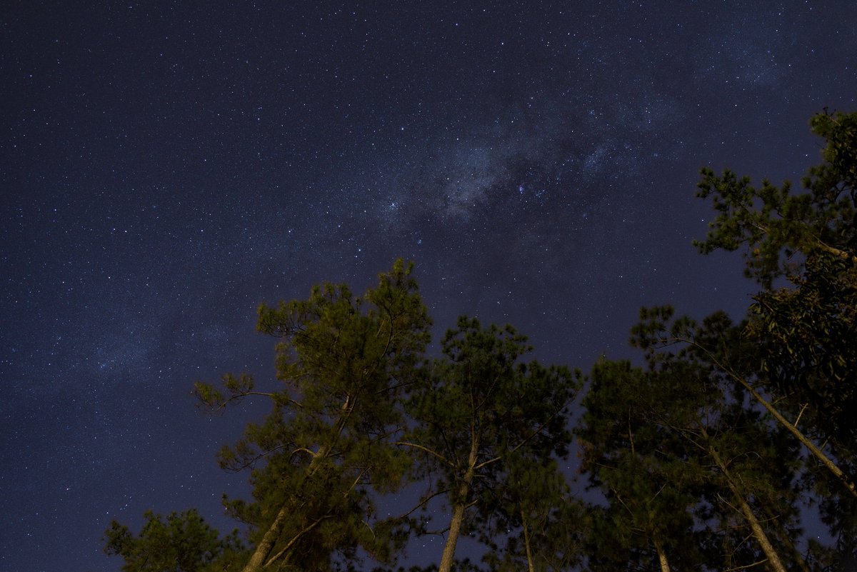 valeu muito a pena ter passado frio de madrugada ontem ☆

(instagram.com/nightskysofia)