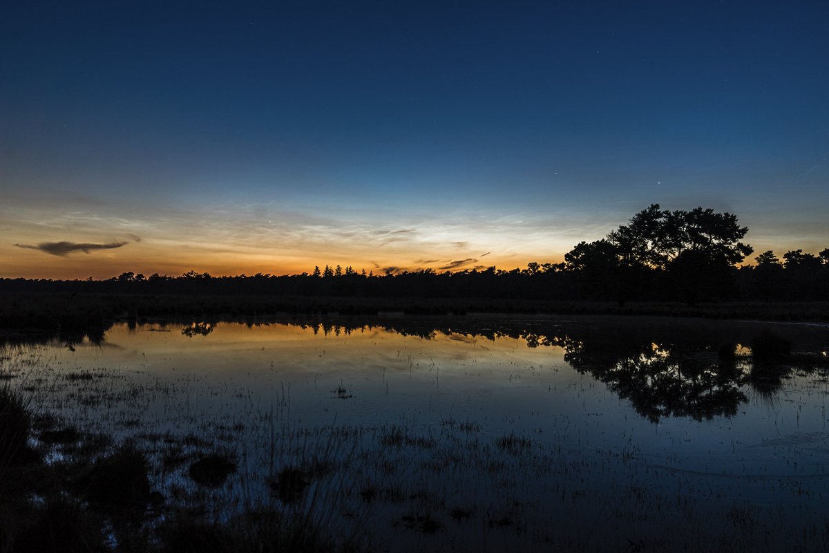 Lichte #nachtwolken laten zien boven het Beuven in Someren, Brabant. <a href="/KNMI/">KNMI</a> <a href="/helgavanleur/">Helga van Leur ☀</a> <a href="/weeronline/">Weeronline</a> <a href="/BuienRadarNL/">Buienradar</a>