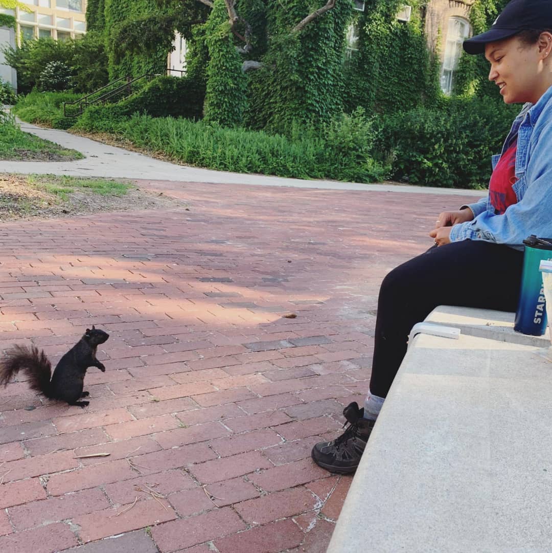 When baiting doesn't work, maybe asking squirrels politely to get into traps will?
.
.
 #BlackAFINSTEM #WomenInSTEM #ecophysiology #fieldseason