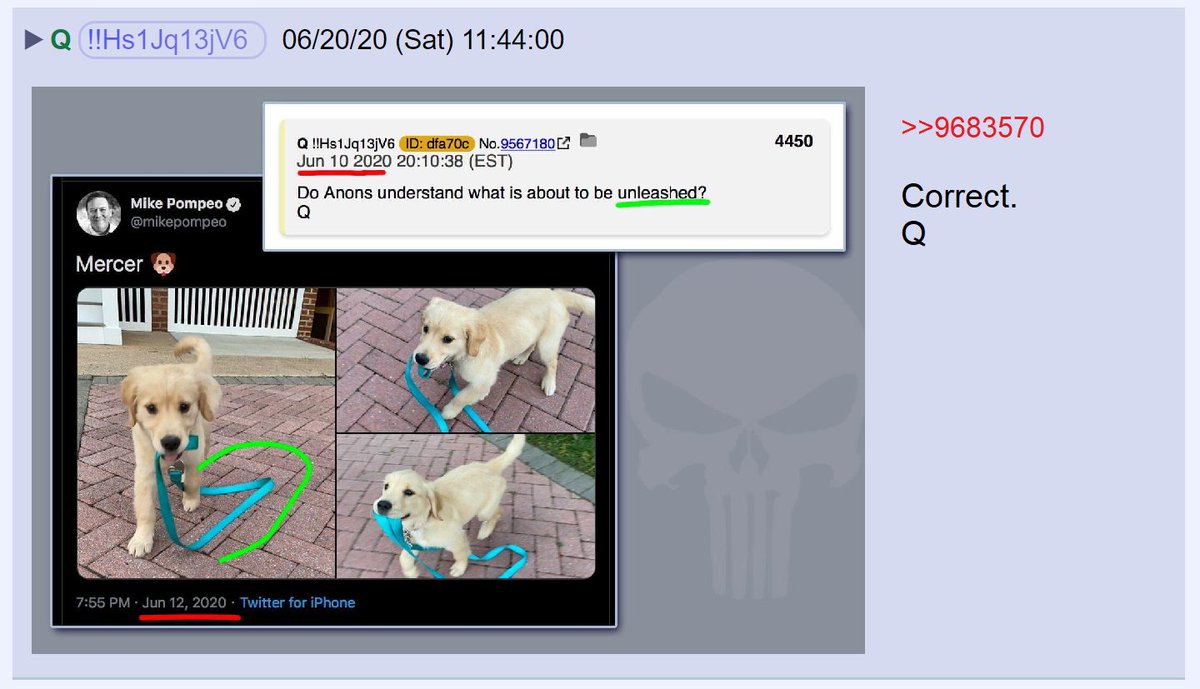 Q said the anon was right. POTUS could fire Berman.Q posted a screencap of a tweet by Mike Pompeo's private account showing his dog off its leash.Included is a post from June 10th where Q asked if we understood what is about to be "unleashed."