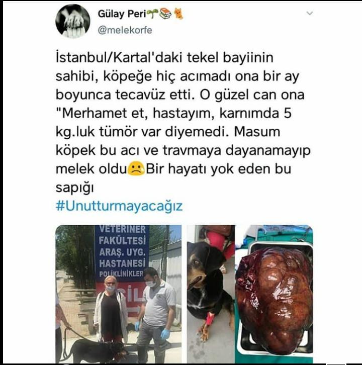 Ülkemizin bu hali çocukların psikolojisini bozmakta kalmıyor tüm canlıların diken üstünde durmasını sağlıyor ama hala kpop yasaklansın derdine düşebiliyorsunuz (:
#Unutturmayacağız
#kpopyasaklanmasın