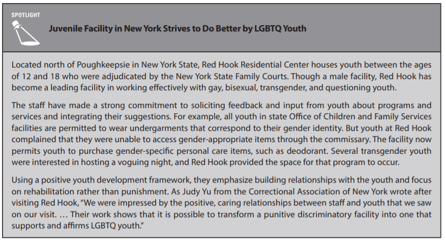 PROBLEM COURT: JUVENILE LGBTQ youth are over-represented in juvenile justice system. Close youth prisons, create community-based alternatives to youth detention, reduce systemic discrimination.See https://www.lgbtmap.org/file/lgbtq-incarcerated-youth.pdf and see https://www.advocate.com/commentary/2018/10/29/how-juvenile-justice-system-failing-lgbtq-youth