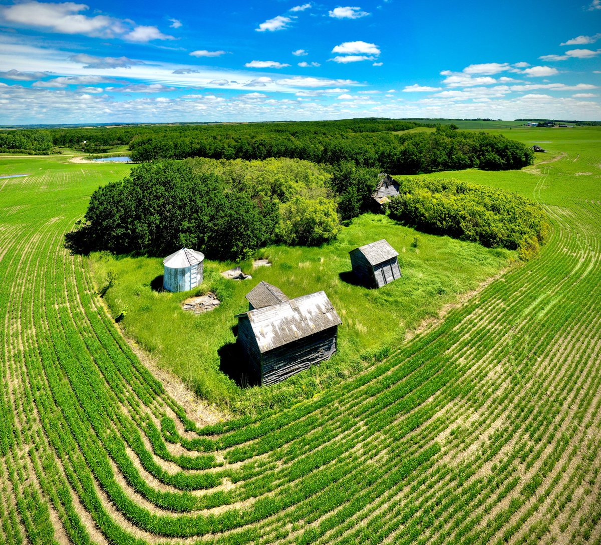 Fields that still have old homesteads like this one are some of my favourite to work in. Enjoy the photo.