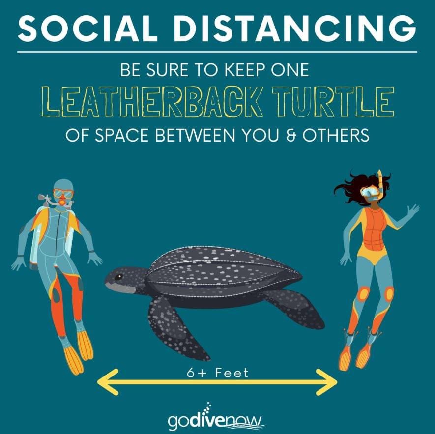 As we re-open shore diving on Sunday please remember to practice social distancing &amp; to wear a mask! Our electronic resident waiver is now available to complete on our website. sunsethouse.com/resident-dive-… #scubadiving #divecayman #caymanislands