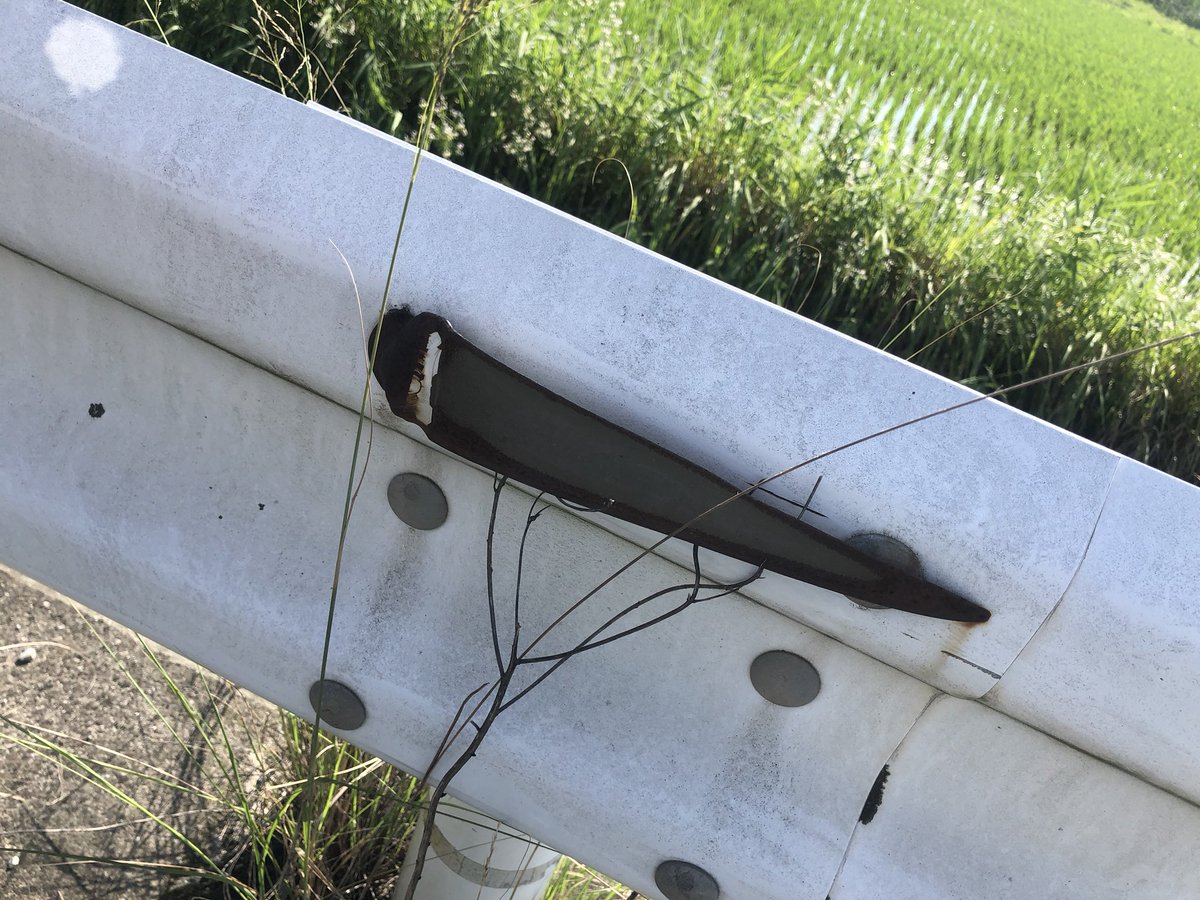 ガードレールにとげ