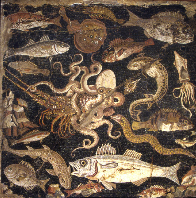 Arkeofili's tweet photo. Deniz yaşamını betimleyen Roma taban mozaiği parçası. Pompeii’deki Faun Evi’nde bulundu. MÖ 2. yüzyıla tarihlendiriliyor. Napoli Ulusal Arkeoloji Müzesi'nde sergileniyor. https://t.co/JDjBuYZsKe