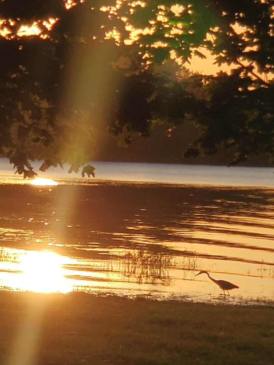 WanderingInfo's tweet photo. Happy #SummerSolstice2020.  May you create #memories share #adventures in the #sunshine with your #friends and #family. Wishing you many #sunsets and #peaceful times, #hugs. https://t.co/oOZ8F6UEhg