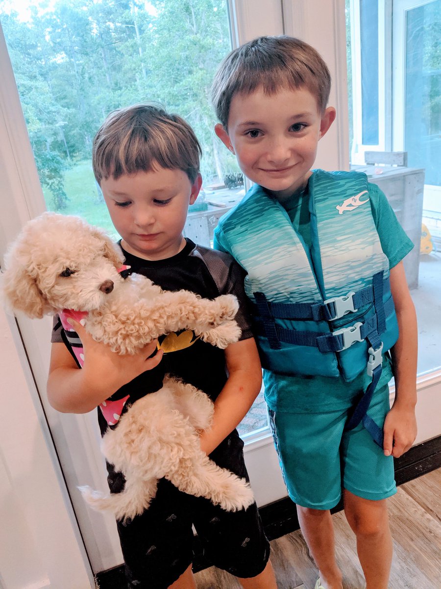 ElizabethGodsy's tweet photo. #Aquadog #doodle #goldendoodle https://t.co/HNysVp42PC