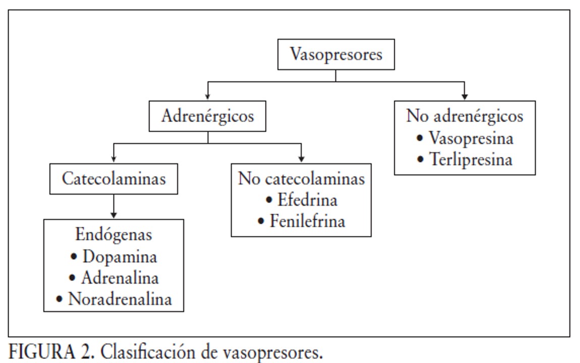 CardioCaribeMx's tweet photo. Otro de #LosClasicos que no puede faltar, uso de #inotropicos en postoperatorio de cardiopatías congénitas #SonLas7 #CHD #CardioPed #PostQx

https://t.co/LBkBTBhlM2 https://t.co/JLLwTyijnM