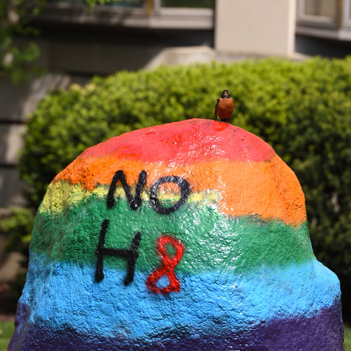 uakron's tweet photo. Hate has no home at UA. We are all Zips. ❤️🧡💛💚💙💜

[Photo taken 2019] https://t.co/e6mjPa8Z4K