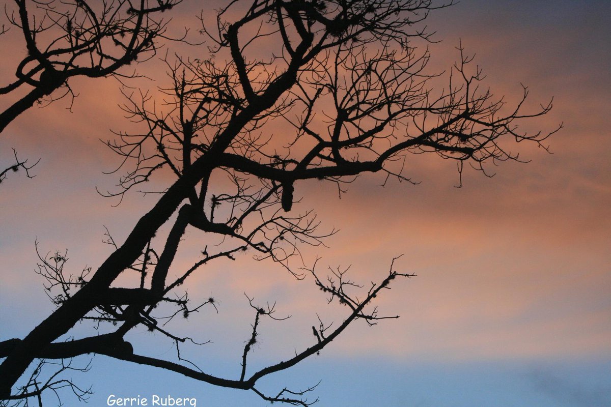 Ruberg  Gerrie tweet media