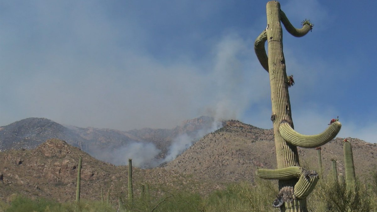 DavidKelly1290's tweet photo. Coming up on #News4Tucson at 5:30. I got a really up close look at #BighornFire from a home at base of #VentanaCanyon.

You'll hear from the residents on their level of concern. https://t.co/m4AezMrUi8