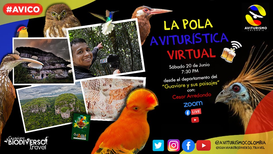 Conoce los mejores lugares para pajarear en el departamento del Guaviare. 
youtu.be/_HpkGOoDrPE