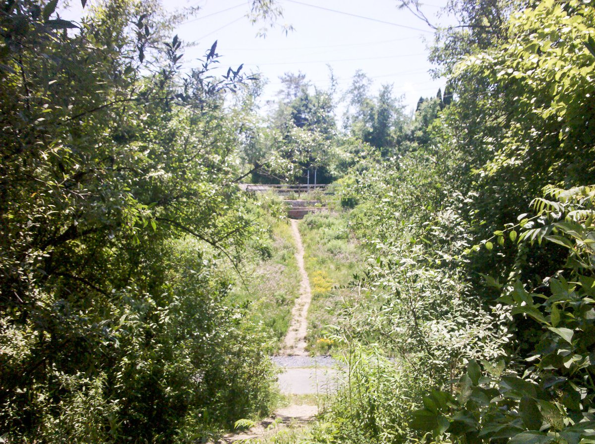 Road ends again, this time for real. But there's a little dirt path beyond the exit. I'm not taking it, but it looks like it crosses the rail trail, and (according to high school mythology) leads to a zone called "Chill Hill".