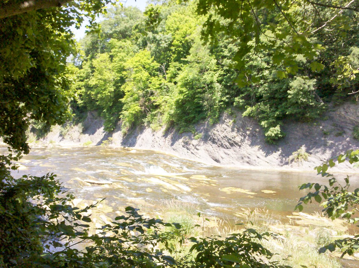 Let's head all the way back to the old church and take the left fork instead. Now there's a creek to our left, and a few houses to our right.