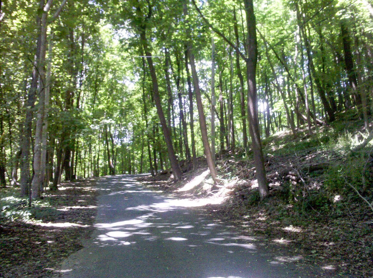 The road's now wooded, with many splotches of brick appearing beneath the old pavement. Can you see it? Surely this is the Yellow Brick Road---or was.