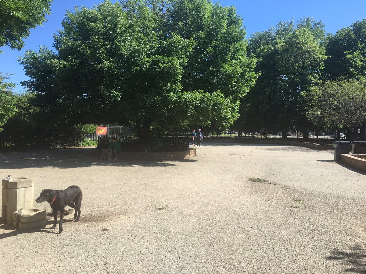 Puptown_DFA's tweet photo. Nice to be back inside Puptown. Just a few of us this afternoon, though. 7 out of 8 wearing face coverings. Thank you for respecting the new rules! https://t.co/VMPL8HkSXW