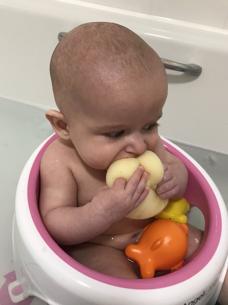 DragonPreistess's tweet photo. Seems to enjoy sucking a sponge that has a little bit of soap in, weirdo 🙄😂 https://t.co/z2bCYYt8O4