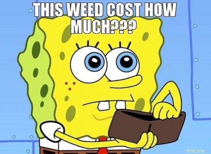 Ganjaprenure420's tweet photo. *When you run out of your quarantin ganja*
#420friendly
#ijwtgh
#StonerFam https://t.co/WDRLyH4wlT