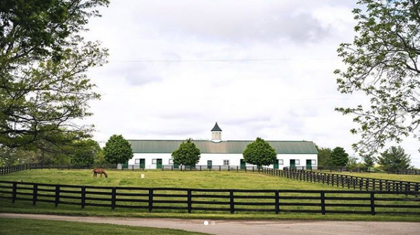 MyRacehorse's tweet photo. Green grass &amp; happy horses. Love the horses, love the game. ✨
_
_
_
#SLPets #TLPicks

#Repost
📸 @spendthriftfarm https://t.co/x6dSBQO66l