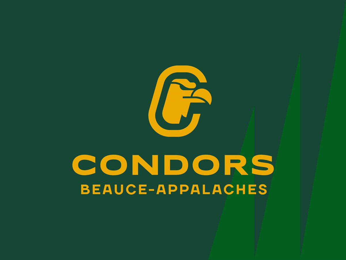 philtremblay22's tweet photo. Tristan Dussault du Royal Cardinal-Roy Juvénile D1 repêché par les Condors du Cégep Beauce-Appalaches de la LHJAAAQ! Une semaine après avoir été sélectionné par le Phoenix de Sherbrooke de la LHJMQ, Tristan a reçu une autre bonne nouvelle en étant un choix de 8ieme ronde. Bravo! https://t.co/z7Bk94H4m7