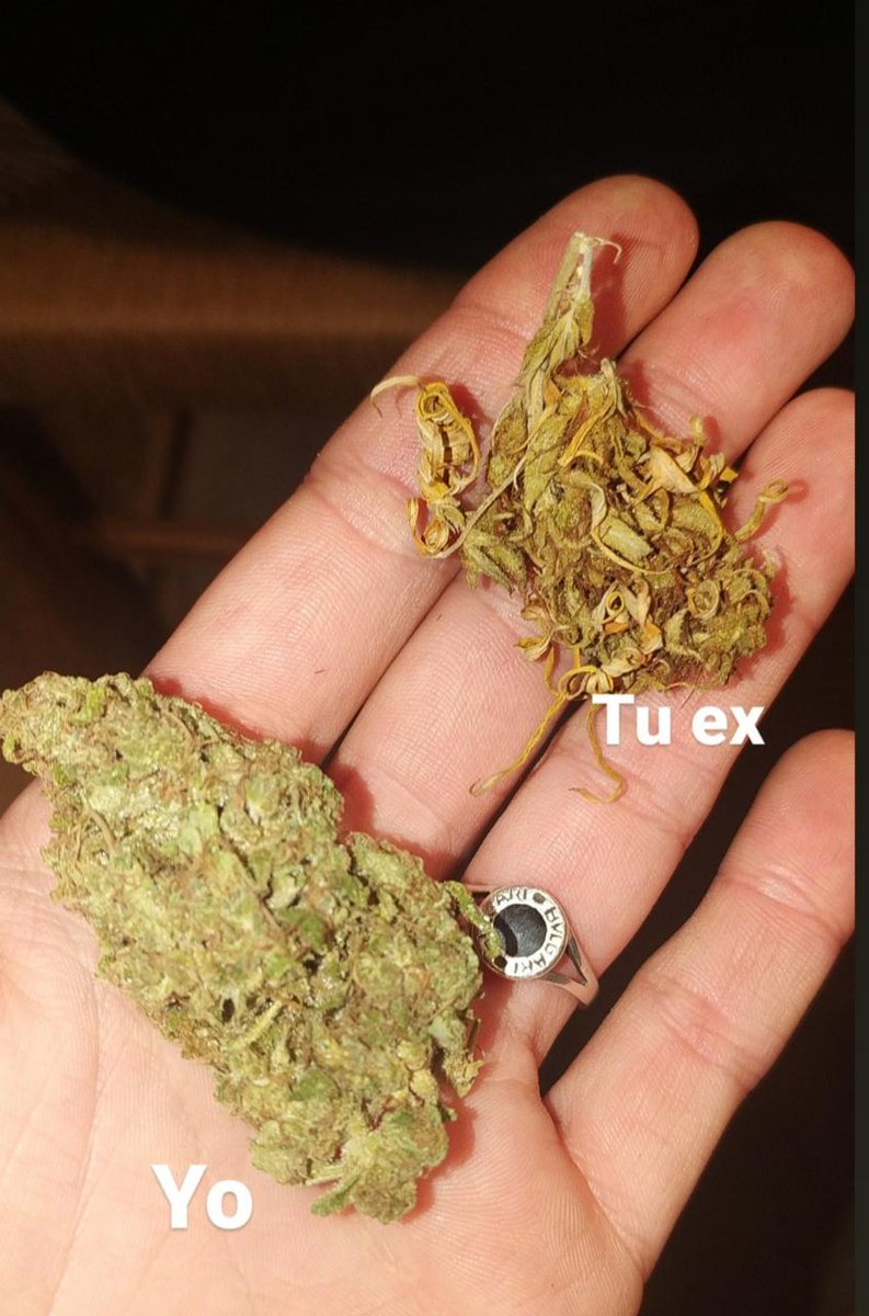 corta
