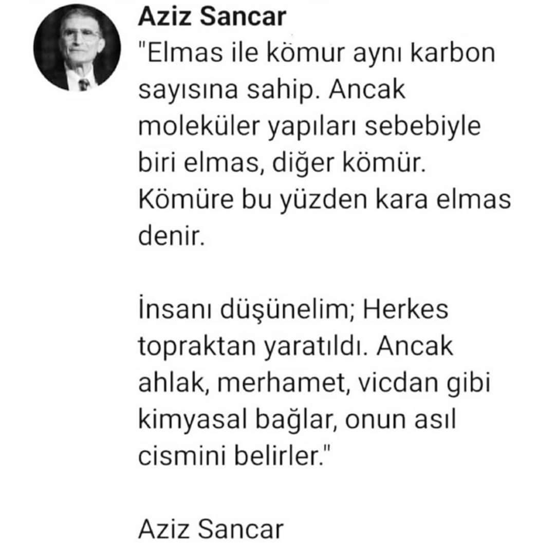 İnsan olmak.
