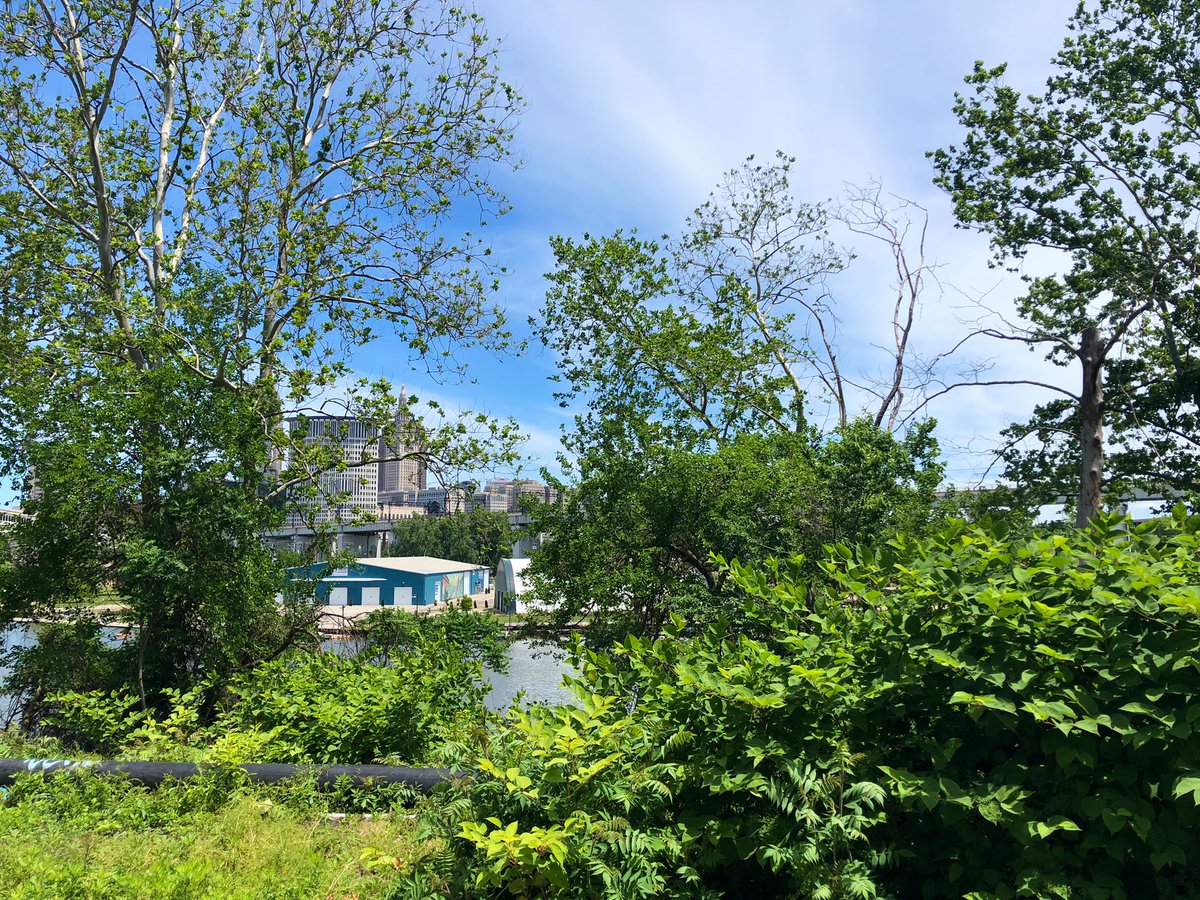 Looping through Irishtown Bend, I am reallyyyyy looking forward to the day this hillside is activated as the city’s premier new park and public space.Seriously - this place will be transformative for the entire city. The views, the location, the sheer amount of space....(2/7)