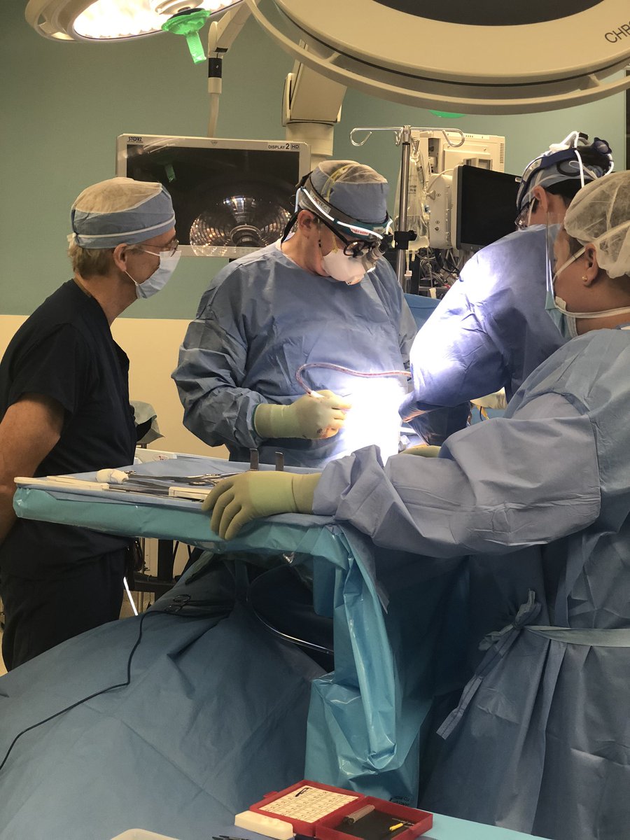 Elizabeth Priya Ninan tweet media