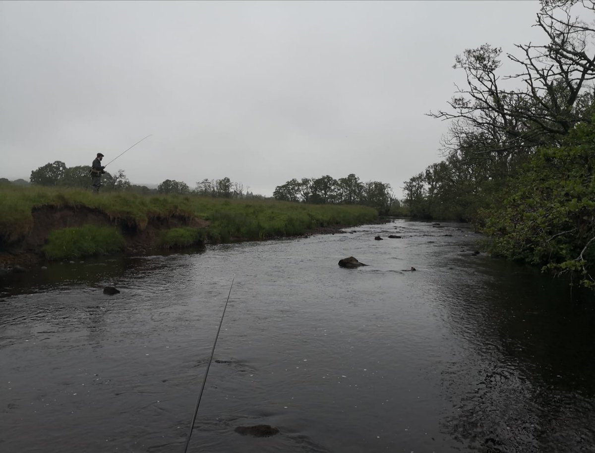WillyMzea's tweet photo. Took the family into the sticks for some fresh air & a picnic (ballsy move) Had some quality time just walking the banks achieving nothing but clearing the head. Fucking loved it. The lads even had a #LegoRetro #HadANibble
*No fish were even spooked in the making of this tweet* https://t.co/7ALPDc1wAs