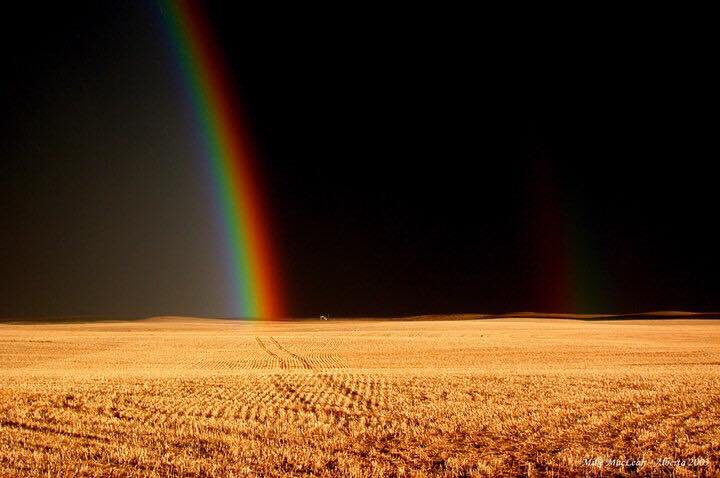 NorseMythNews's tweet photo. Rainbow Bridge near Medicine Hat
Alberta, Canada
Photo by Mike MacLean https://t.co/Zih0I7USi9
