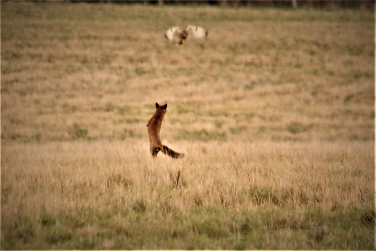 Steve n Nature tweet media