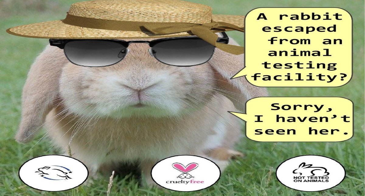 animalsoutloud's tweet photo. #cosmetics #cosmetic #beautyskincare #cosmeticproduct #skincareoftheday #makeupofthenight #beautysecrets #makeupcosmetics #beautycosmetics #beautycosmetic #animalsarenotfortesting #freedomispossible #livingfree #celebratefreedom #escaped #facility #disguise #whome https://t.co/vgaH9vpnXd