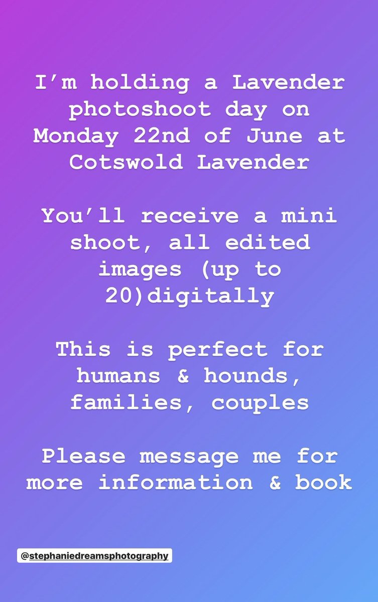 Steph0188's tweet photo. Lavender mini sessions 📷 https://t.co/w7ri92JpZM
