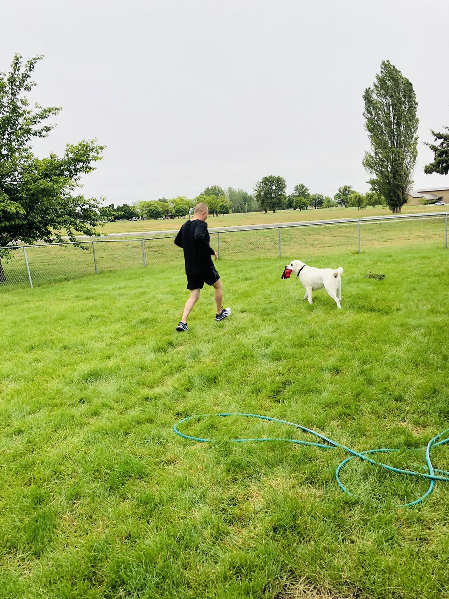92arwcommander's tweet photo. Started Saturday morning with Chief Hodges’ #Fairchild120 challenge...with a little help from the dog! He seems to think I need to go all the way down for it to count. And I track a lot of my daily step count chasing him around! #TeamFairchild #Fairchild120 #Famous92d https://t.co/QiPOo6M0y4