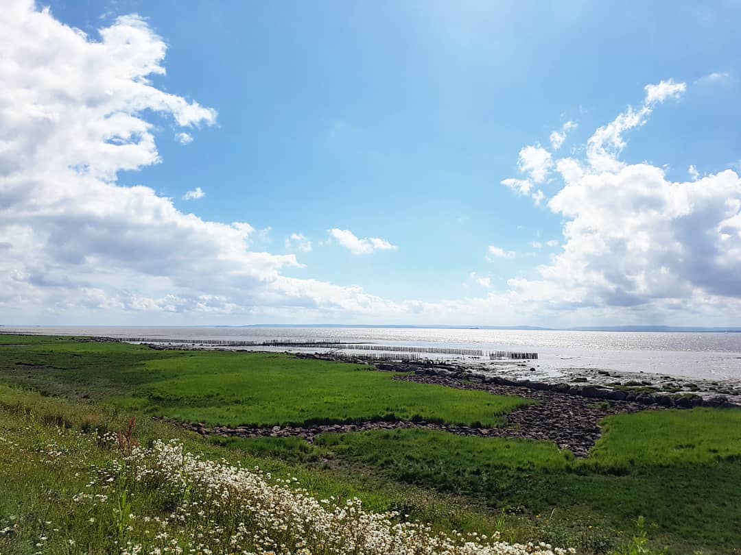 A genuinely lush first visit to Splott Beach and the coastal path. It was great to be by the seaside. Definitely adding it to my regular stroll repertoire.  #Cardiff