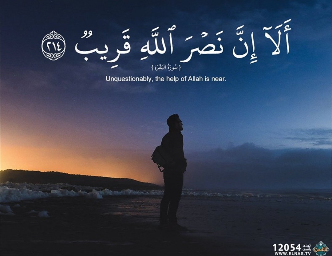 Elsayed09906702's tweet photo. #العدل_لقضيه_الطباخ3ث https://t.co/AiRdNsOF1K
