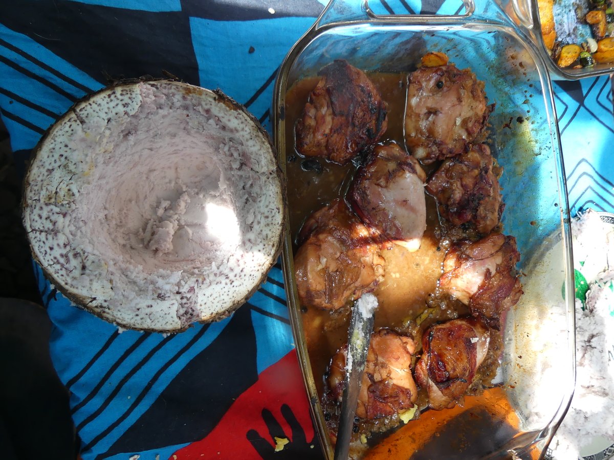 cookswelljikos's tweet photo. A baked and stuffed Nduma cup.
Bake some large arrowroots in the jiko oven and once done, scoop out the middle and fill it back in with a gravy from your favorite baked chicken recipe. This is hands down the fam's new fav. treat.
#nduma #bakedchicken #cookswell https://t.co/eWoqGdkulN