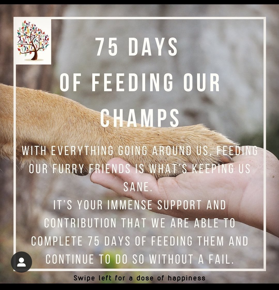 pooja_ngo's tweet photo. Completed 75 days of Feeding our #Furryfriends. Will continue to do so without a fail♥️
#poojaofhumanity #doglove #CoronaRelief #humanity #IndiaFightsCorona #TogetherWeCan @DCP_SHAHDARA @ShahdaraAddlDCP @theengineercop @PetaIndia @Manekagandhibjp @NavbharatTimes @NBTDilli https://t.co/6yFTwvUALR