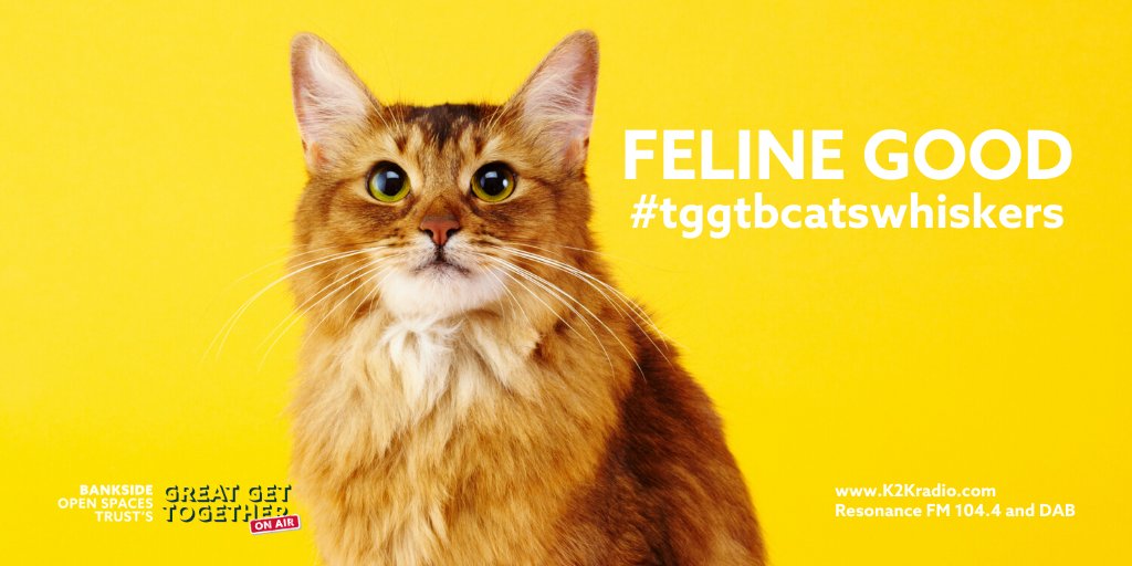 BOSTSE1's tweet photo. .@se1 @BetterBankside POST a picture of your feline friend. Tweet us using hashtags #MeowOff & #tggtcatswhiskers by 19 June. Find out if they made the 'CATWALK' ON AIR with @ResonanceFM & @KilburntoKensal SUNDAY 21 JUNE from 12pm
https://t.co/z7cEn99GYC
#BOST #TGGTBankside https://t.co/oikTOjGJkK