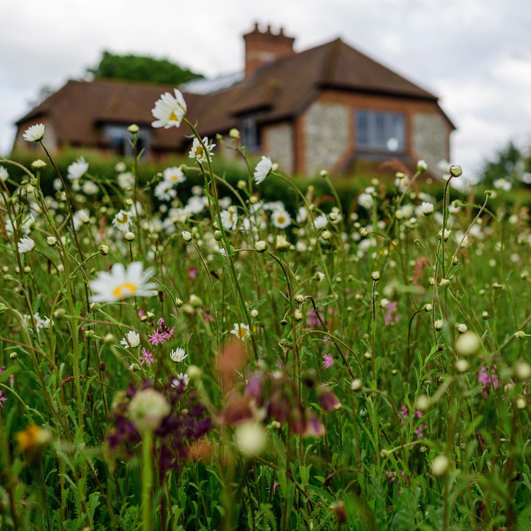 1 day left of the 2020 @HantsCountryandGardenFestival online auction and you have already helped us raise over £7000 for the @HampshireMedicalFund towards a revolutionary gynaecology clinic in #Hampshire - Thank You! givergy.uk/hampshirecount… 💚