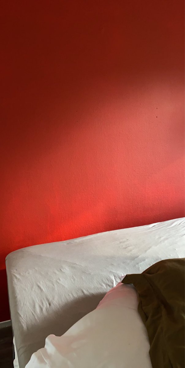 livelifethings's tweet photo. @praxis een grote teleurstelling... een muurkleur aanschaffen en nog vragen hoe dit zal uitpakken... ja komt helemaal goed mevrouw.  Ik plaats van terracotta gewoon vel rood.. morgen maar weer naar drachten. https://t.co/cLL5e8iUEk
