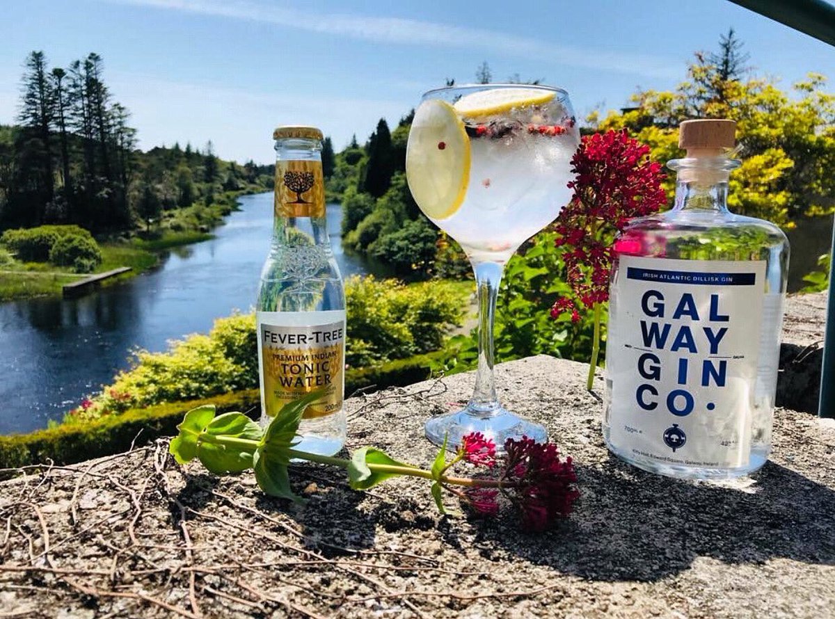 GalwayGinCo's tweet photo. Happy World Gin Day from our friends @BallynahinchCas ๐
.
.
#galway #ireland #galwaygin #dillisk #irishgin #tbt #gin #wildatlanticway #craftgin #galwaybay #irish #ginandtonic #connemara #irishexport #drinkresponsibly https://t.co/1Dz3SaMYll