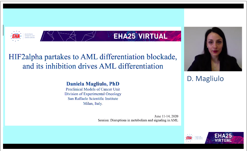 da_magliulo's tweet photo. Excited that our work oh HIF2α signaling in AML pathogenesis has been selected for oral presentation at the @EHA_Hematology annual congress! 
Check it out on the #EHA25virtual platform. #EHA25 https://t.co/Y36LGl8l91