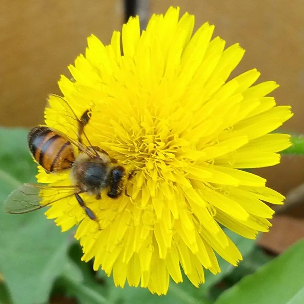 Berry Lowman tweet media