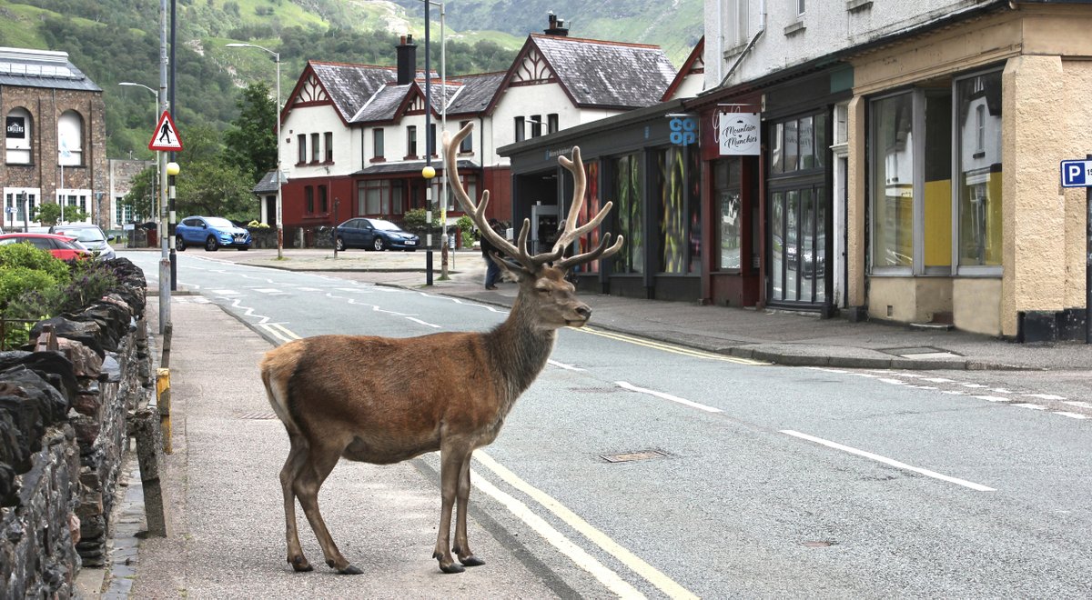 This afternoon at #kinlochleven #Scotland